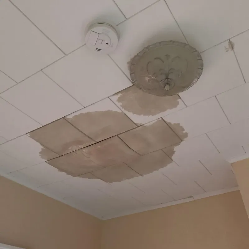 Ceiling Water Damage Repair in Yalobusha County, MS