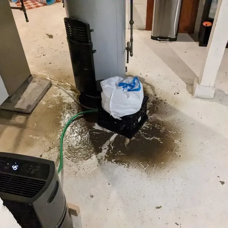 Sewage Backup Cleanup Service in Yalobusha County, MS